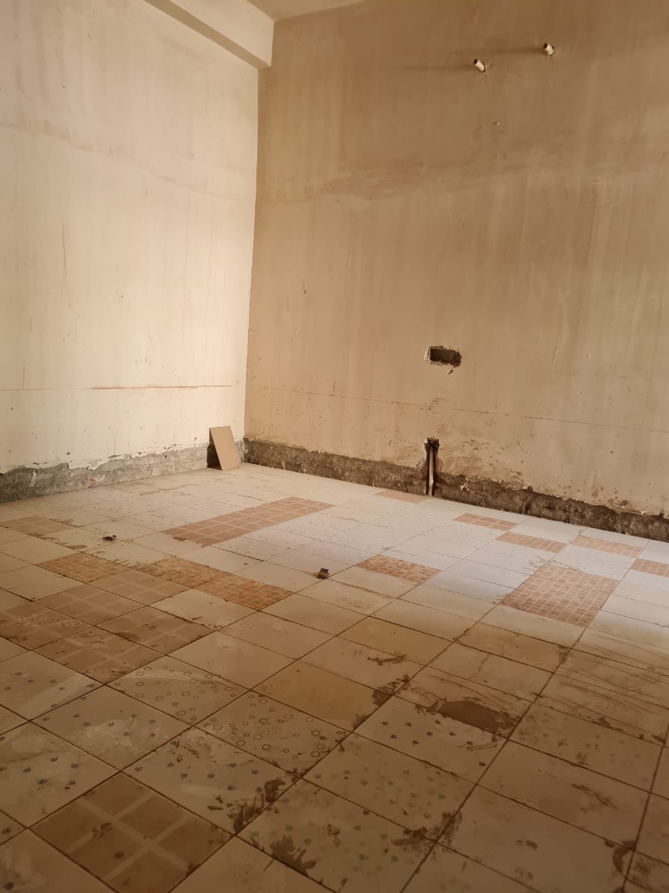 WhatsApp Image 2026-02-28 at 20.10.57 (2)