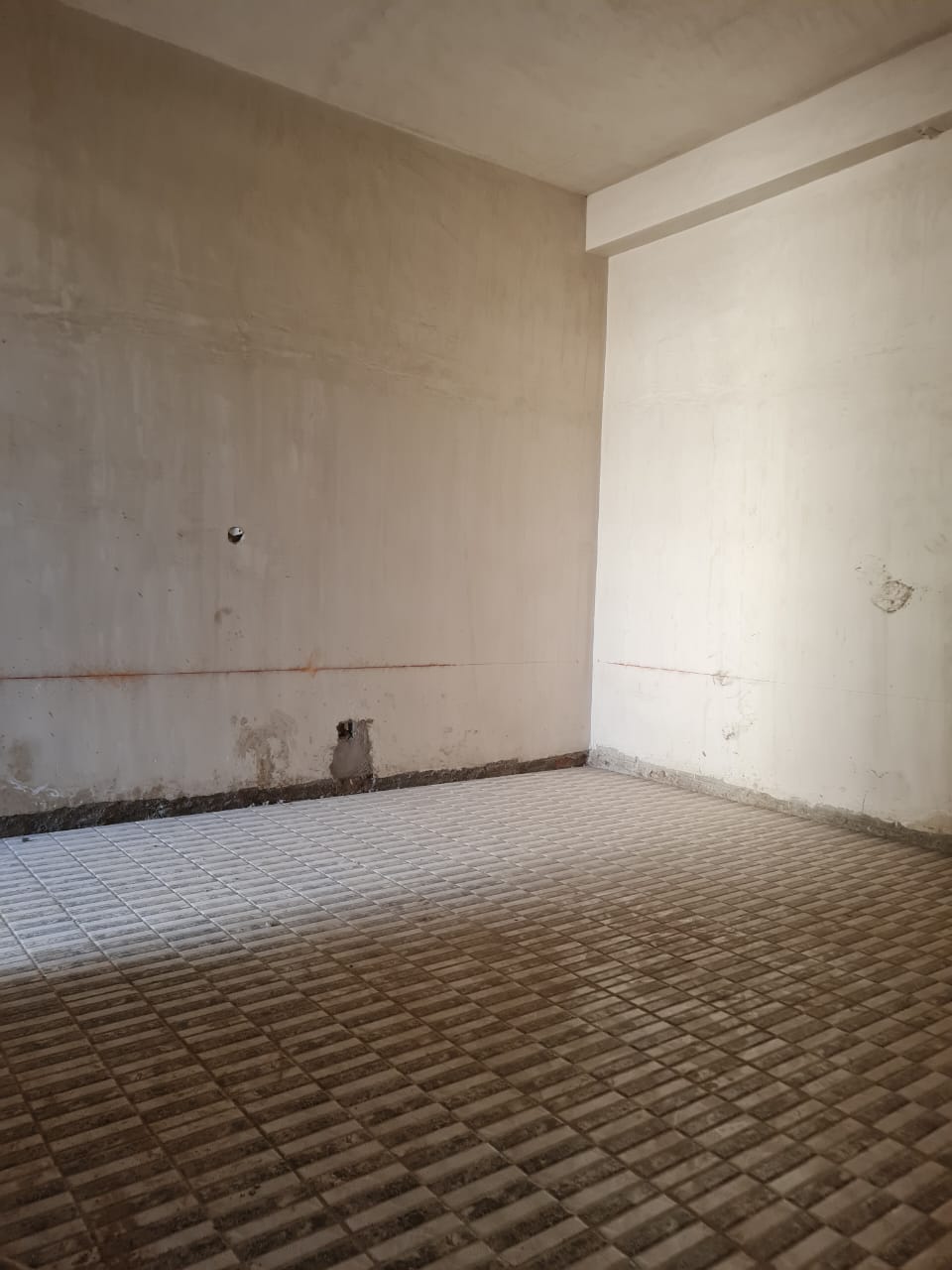 WhatsApp Image 2026-02-28 at 20.11.05 (1)